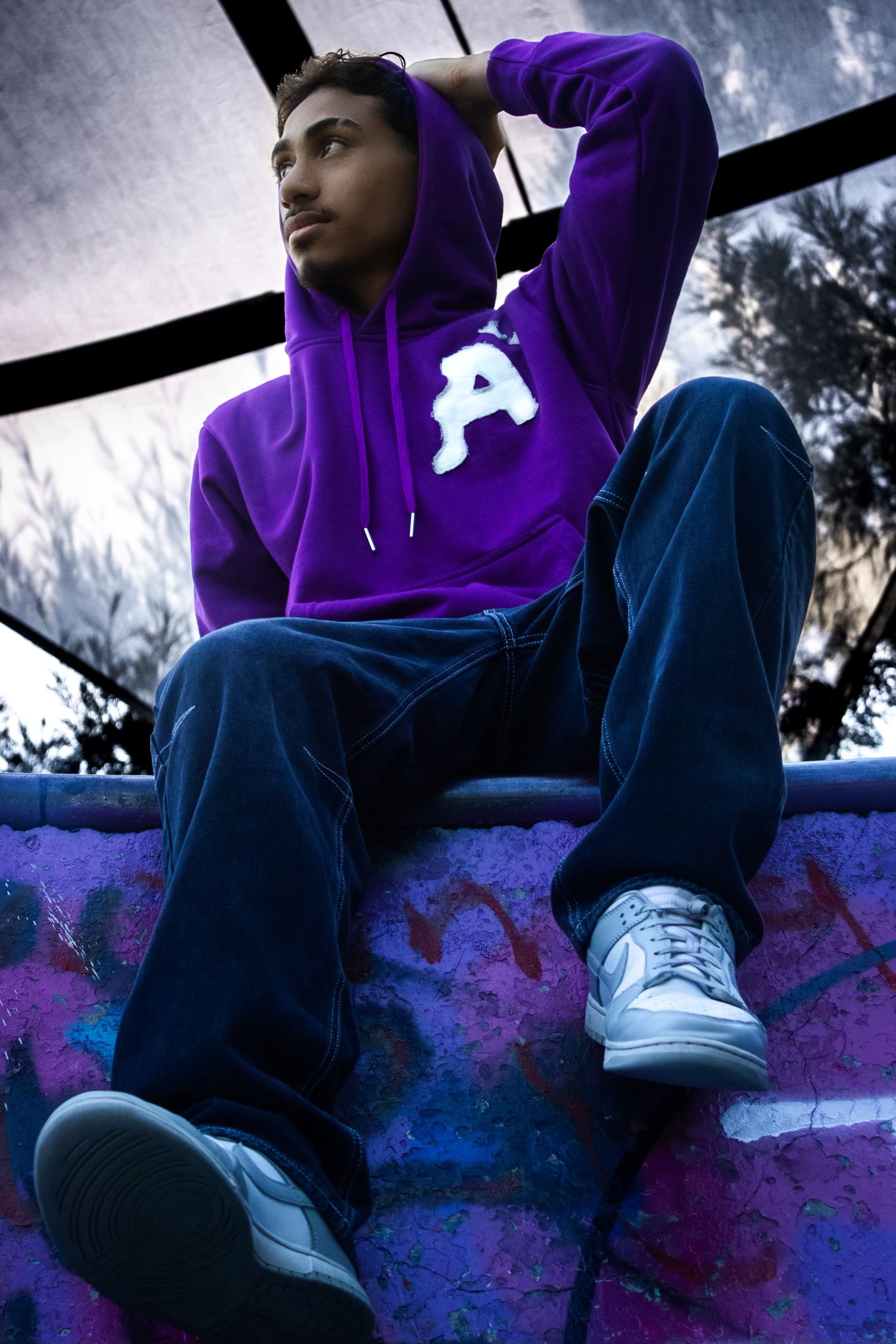 Grape Purple Hoodie